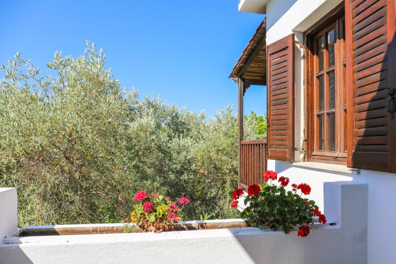 Pandora Studios Skiathos Kolios Exterior foto