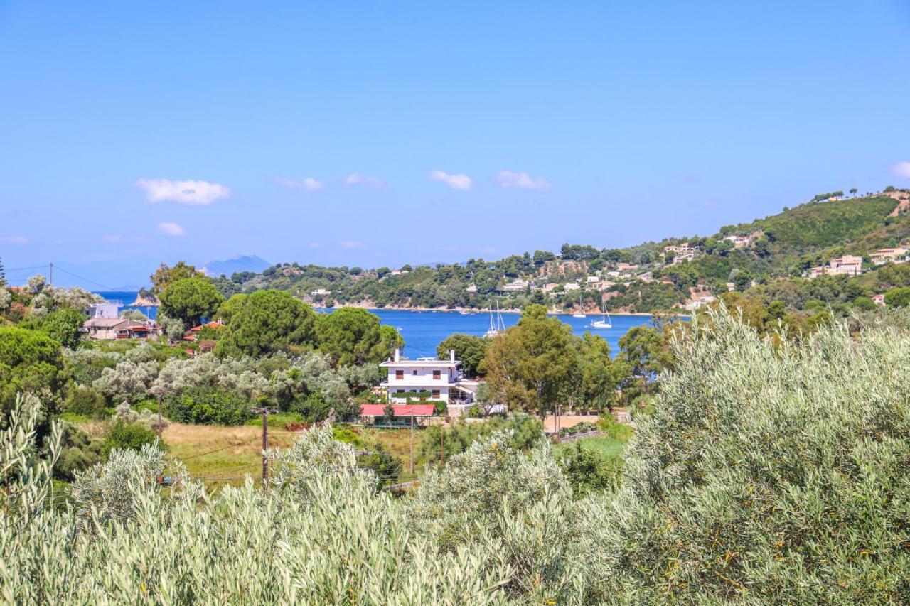 Pandora Studios Skiathos Kolios Exterior foto